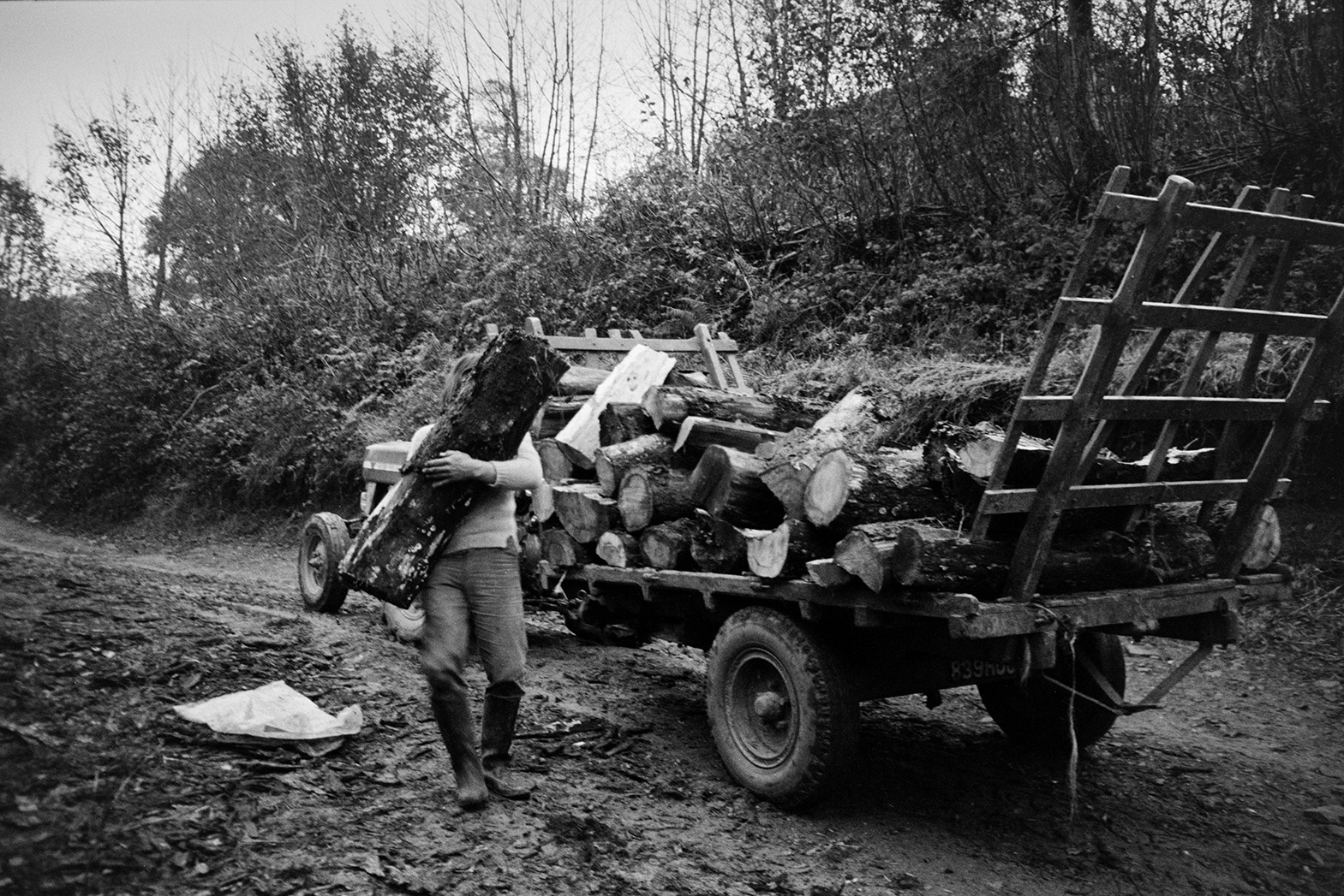 Derek Bright either loading or unloading logs onto a trailer near Kiverley, Beaford.