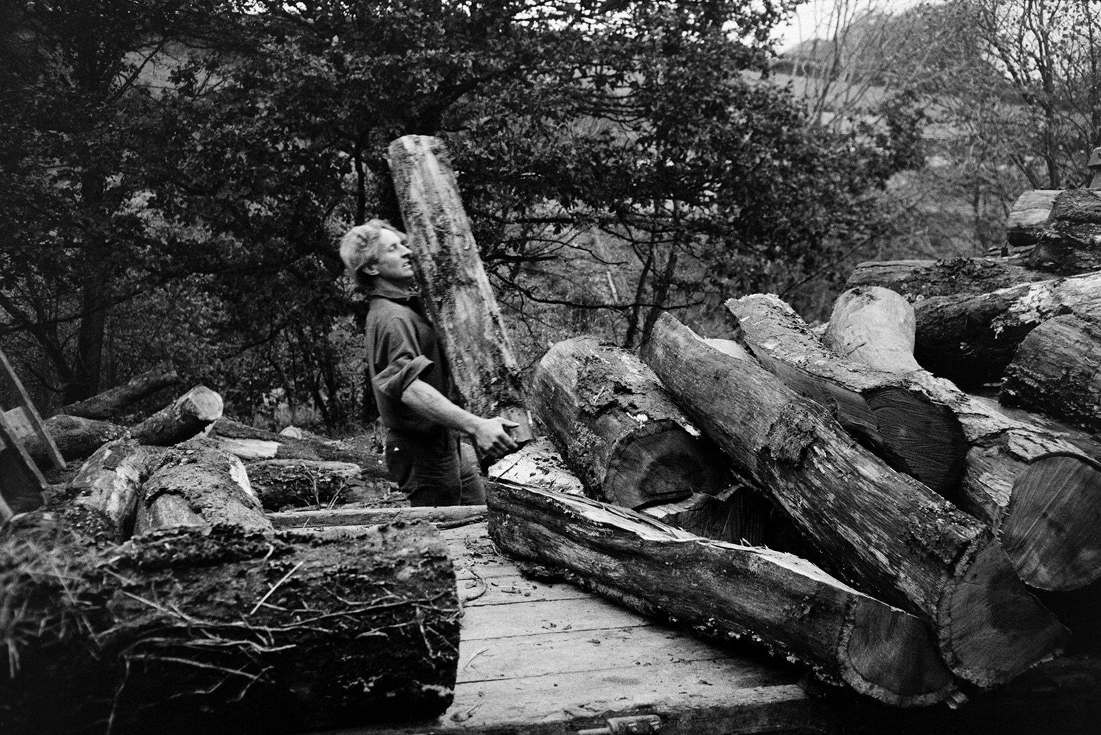 Ivor Bourne either loading or unloading logs onto a trailer near Kiverley, Beaford.