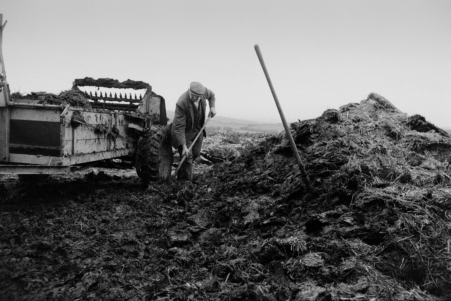 Tom Hooper loading a muck spreader with manure from a muck heap or dung heap in a field at Mill Road Farm, Beaford. He is using a shovel. The farm was also known as Jeffrys.