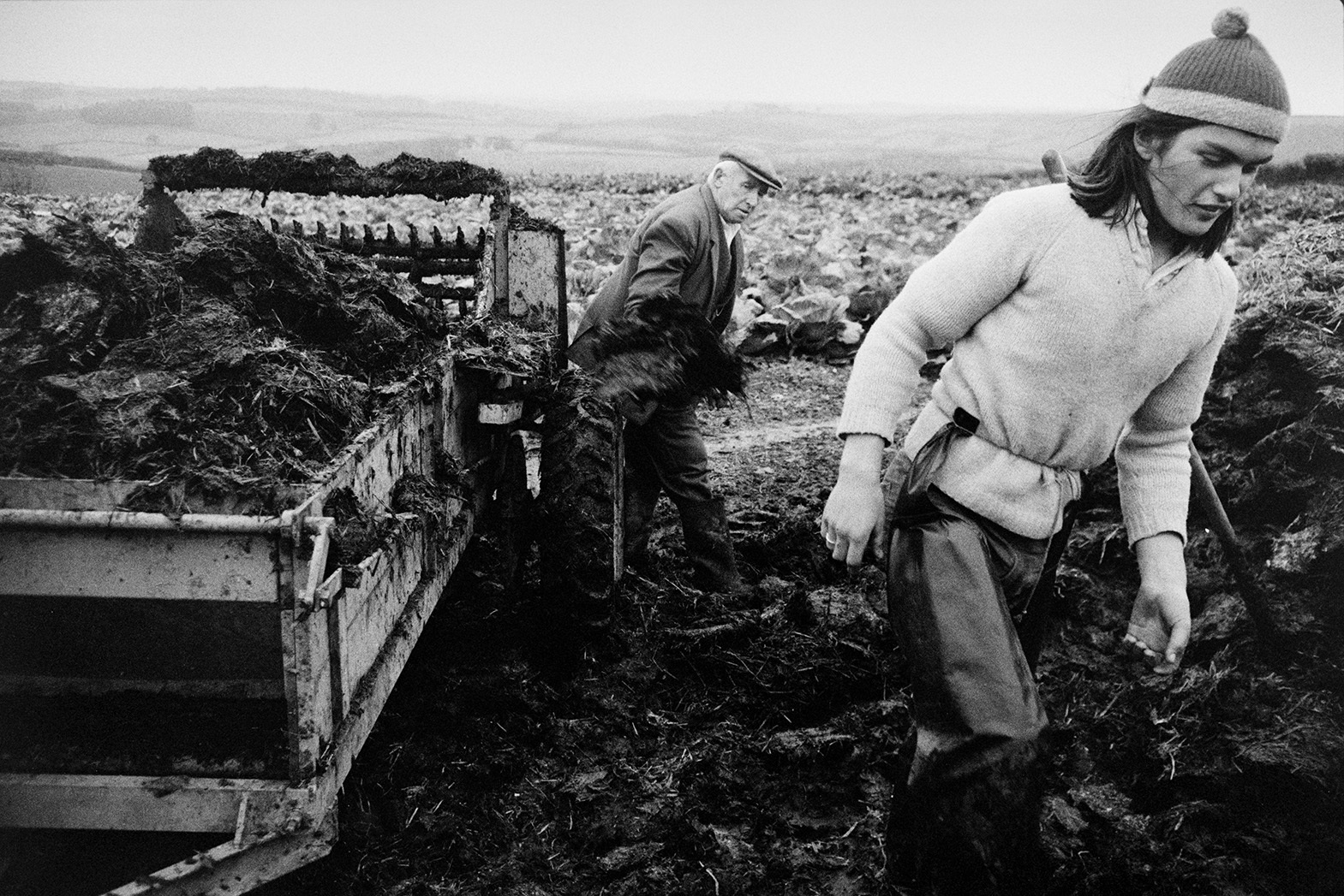 Derek Bright, in the foreground, helping Tom Hooper load a muck spreader with manure from a muck heap or dung heap, in a field at Mill Road Farm, Beaford. The farm was also known as Jeffrys.