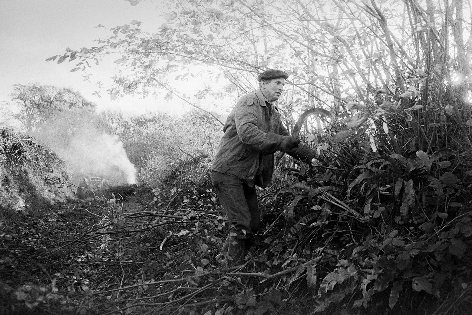 Ivor Bourne trimming a hedge, using a bill hook, in Green Lane, Beaford. Smoke from the burnt cuttings can be seen in the background.