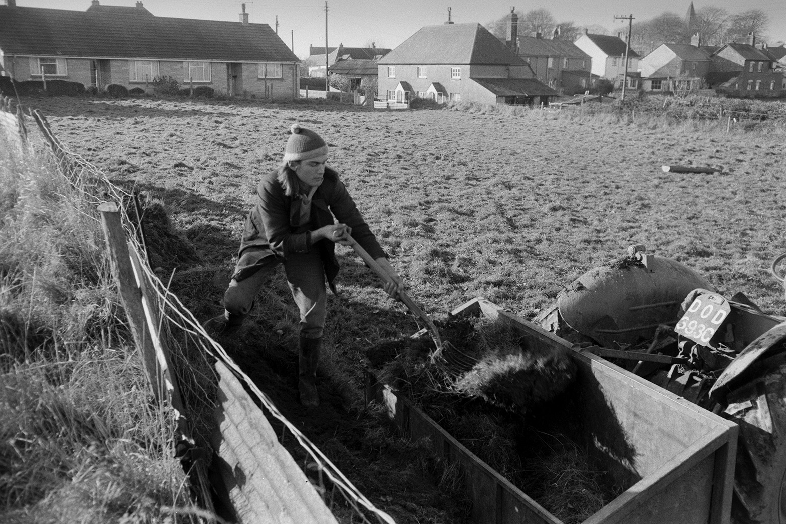 Derek Bright cutting turf, or clats, to mend a hedge broken by sheep, in a field at Mill Road Farm, Beaford. He is loading the turf into a link box. Houses in the village can be seen in the background. The farm was also known as Jeffrys.