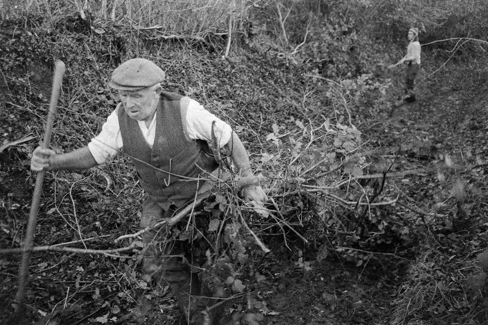 Tom Hooper carrying trimmings from hedge cutting along Green Lane, Beaford, to be burnt. Derek Bright can be seen in the background.