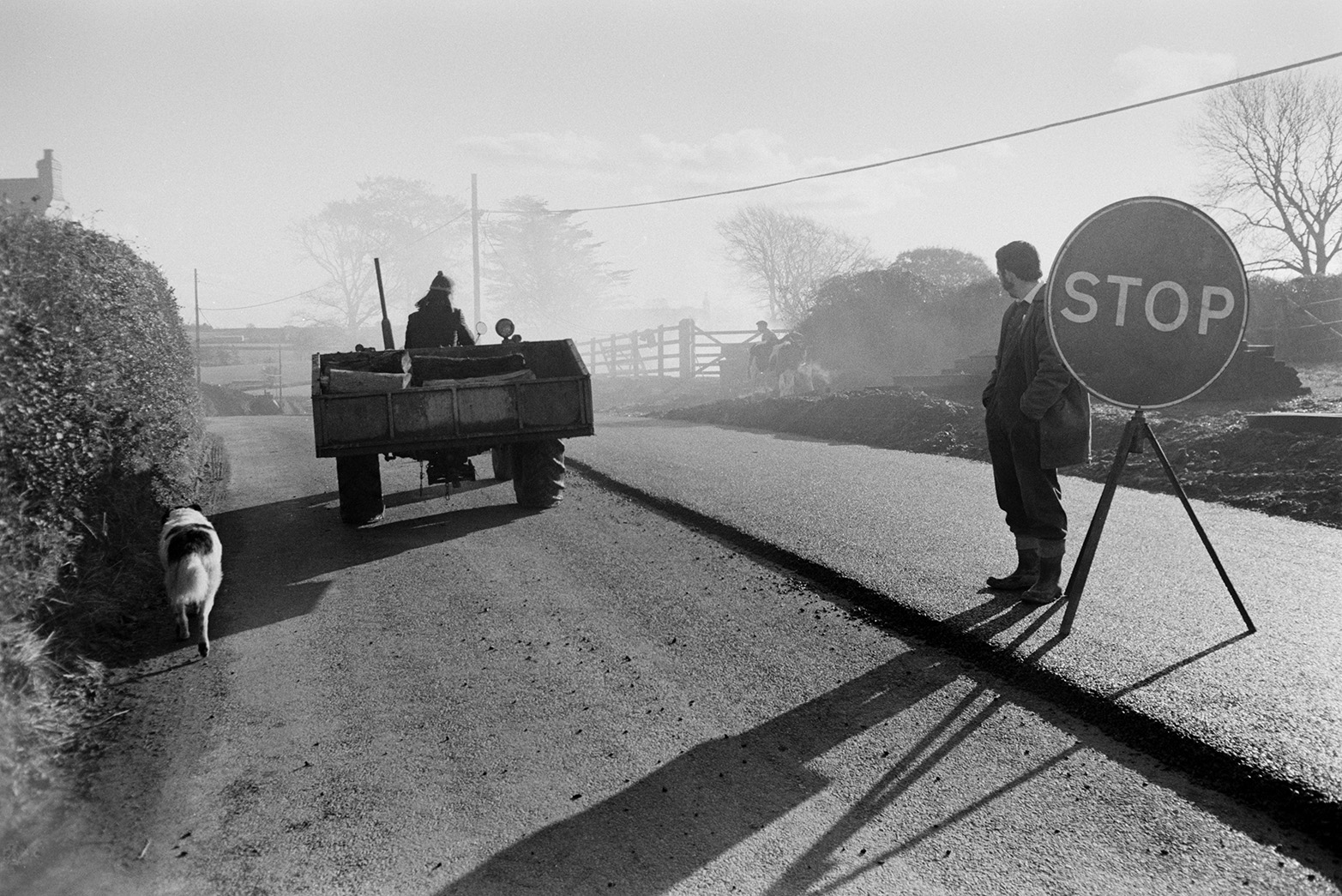 Derek Bright driving a tractor and link box down a road which is bring resurfaced in Beaford, past a man holding a 'stop' sign. A dog is following the tractor.