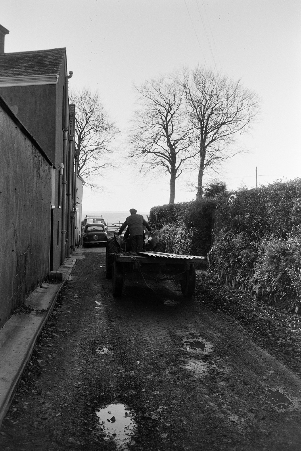 Ivor Bourne stood on the back of a tractor and trailer with a corrugated iron sheet, in a lane at Beaford. The corrugated iron sheets were used on a barn exterior.
