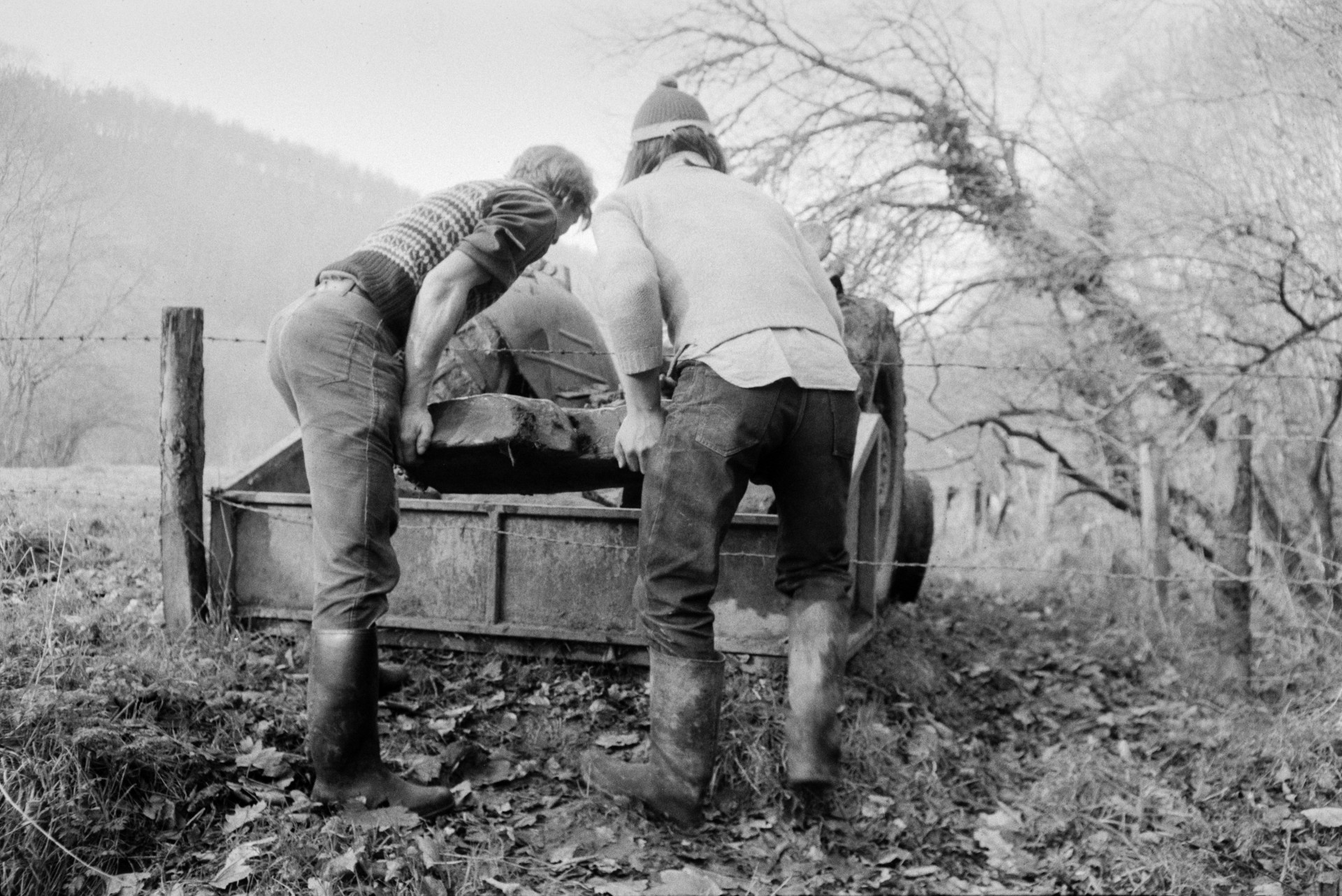 Derek Bright and Ivor Bourne collecting stones in a wooded area at Beaford and loading them into a link box attached to a tractor. The stones were used to strengthen a hedgerow.
