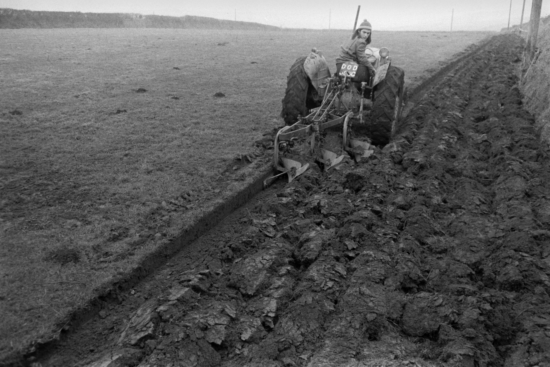 Derek Bright ploughing a grass field for potatoes at Mill Road Farm, Beaford. The fields were ploughed in January to be split by frosts ready for potato planting in March. The farm was also known as Jeffrys.