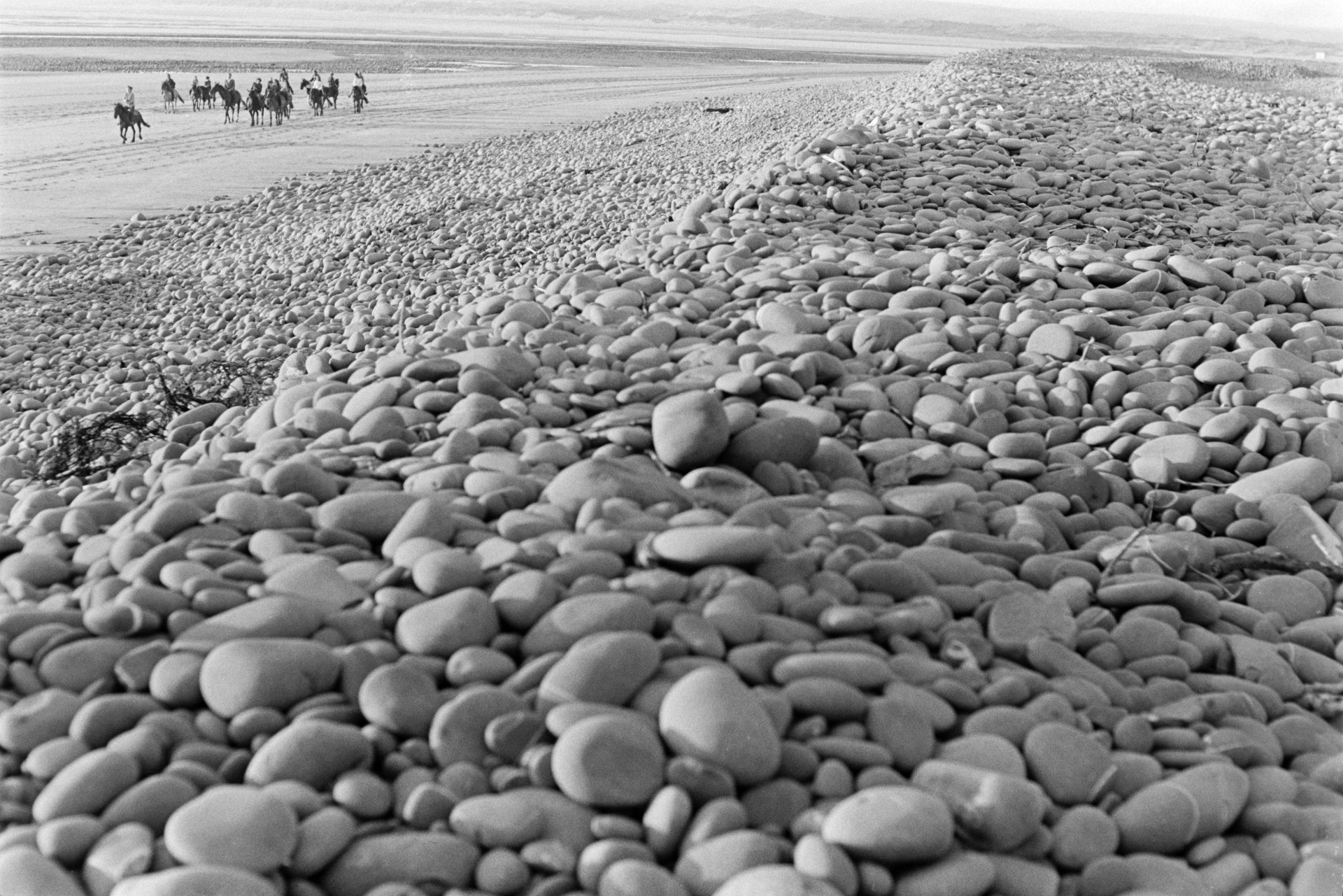 A pebble ridge on the beach at Westward Ho! with horse riders walking along the shoreline in the background.