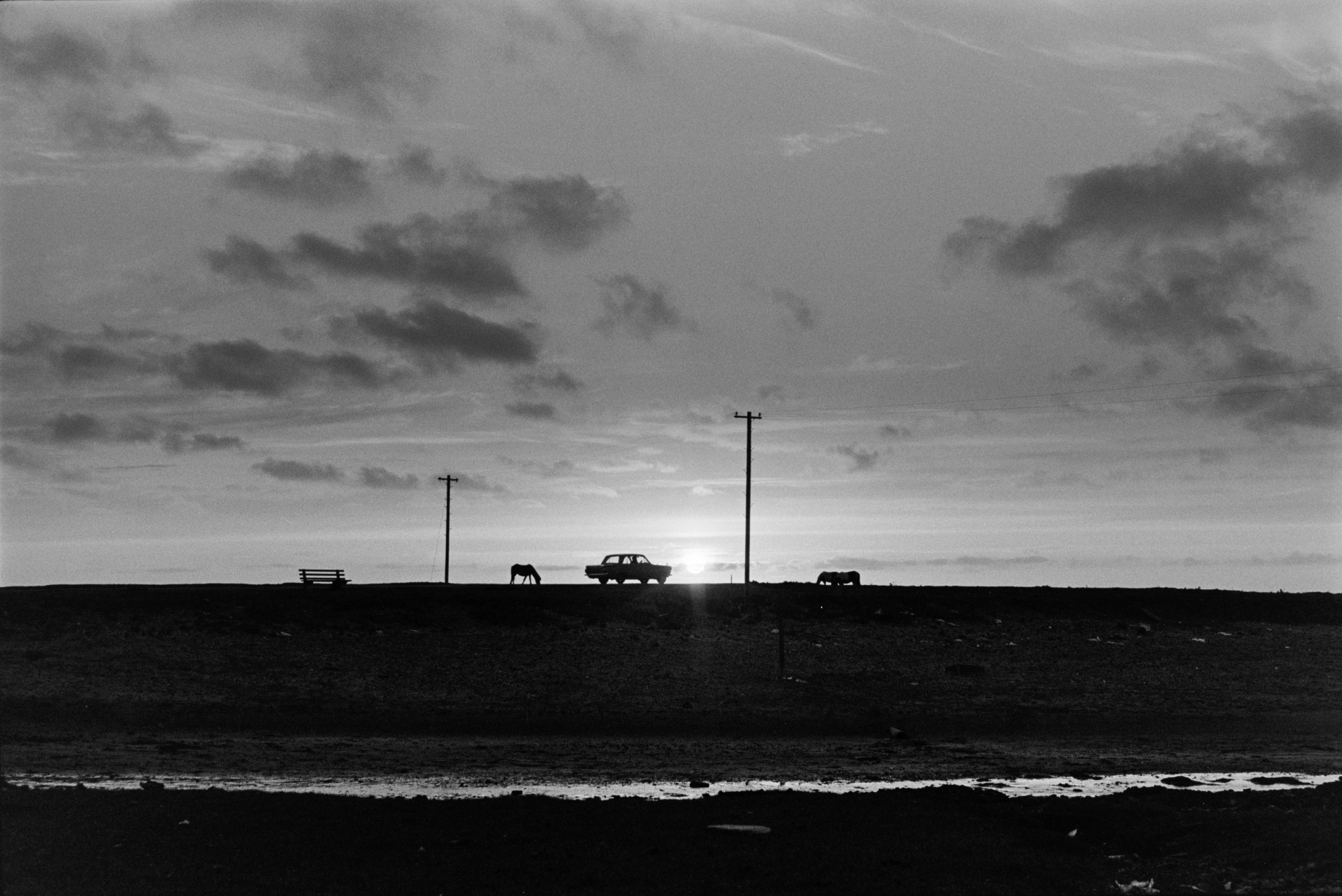 A horse grazing by a bench, electricity poles and a parked car silhouetted on the skyline, at Westward Ho! Clouds are visible in the sky.