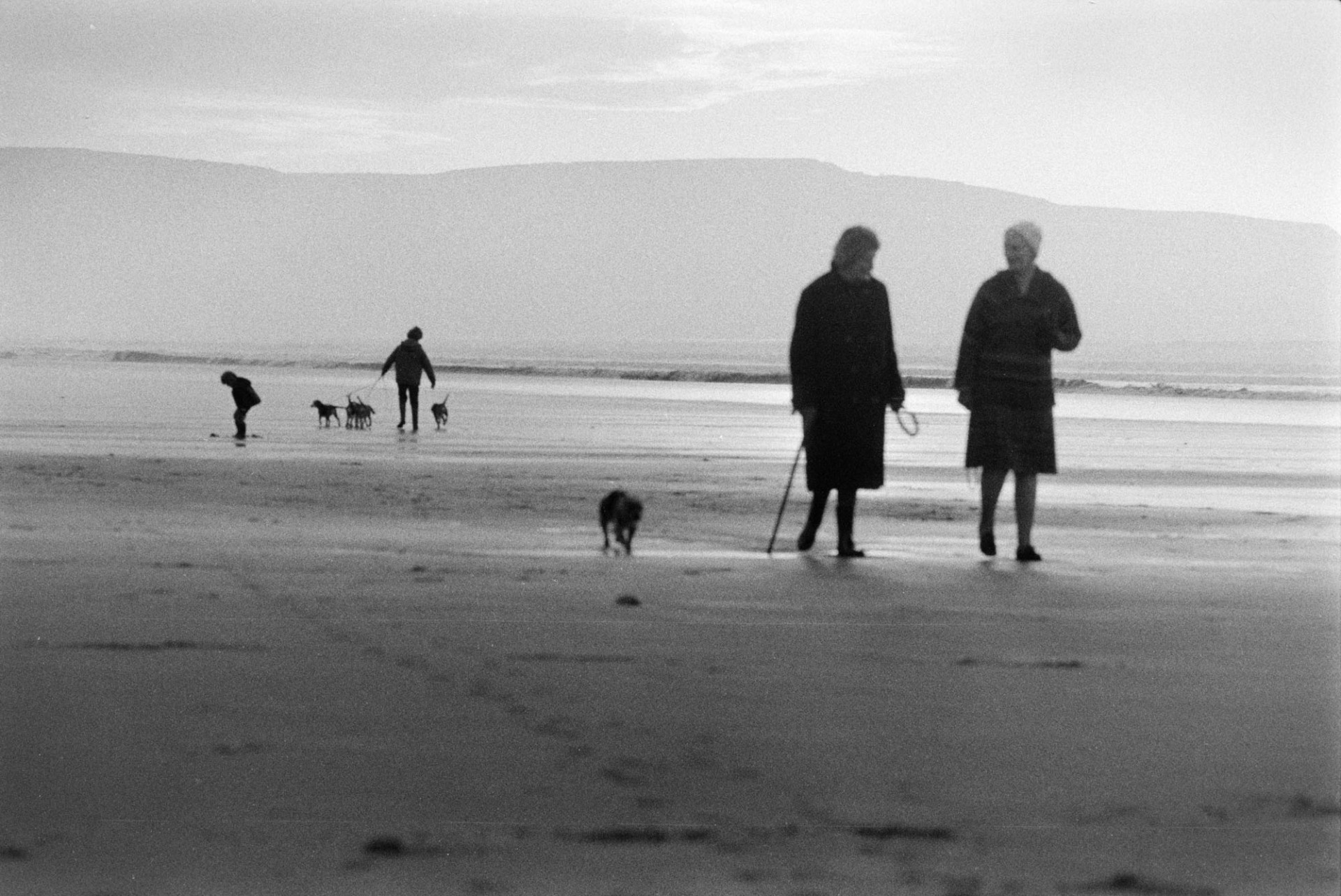 People walking dogs along the beach, possibly at Bude.