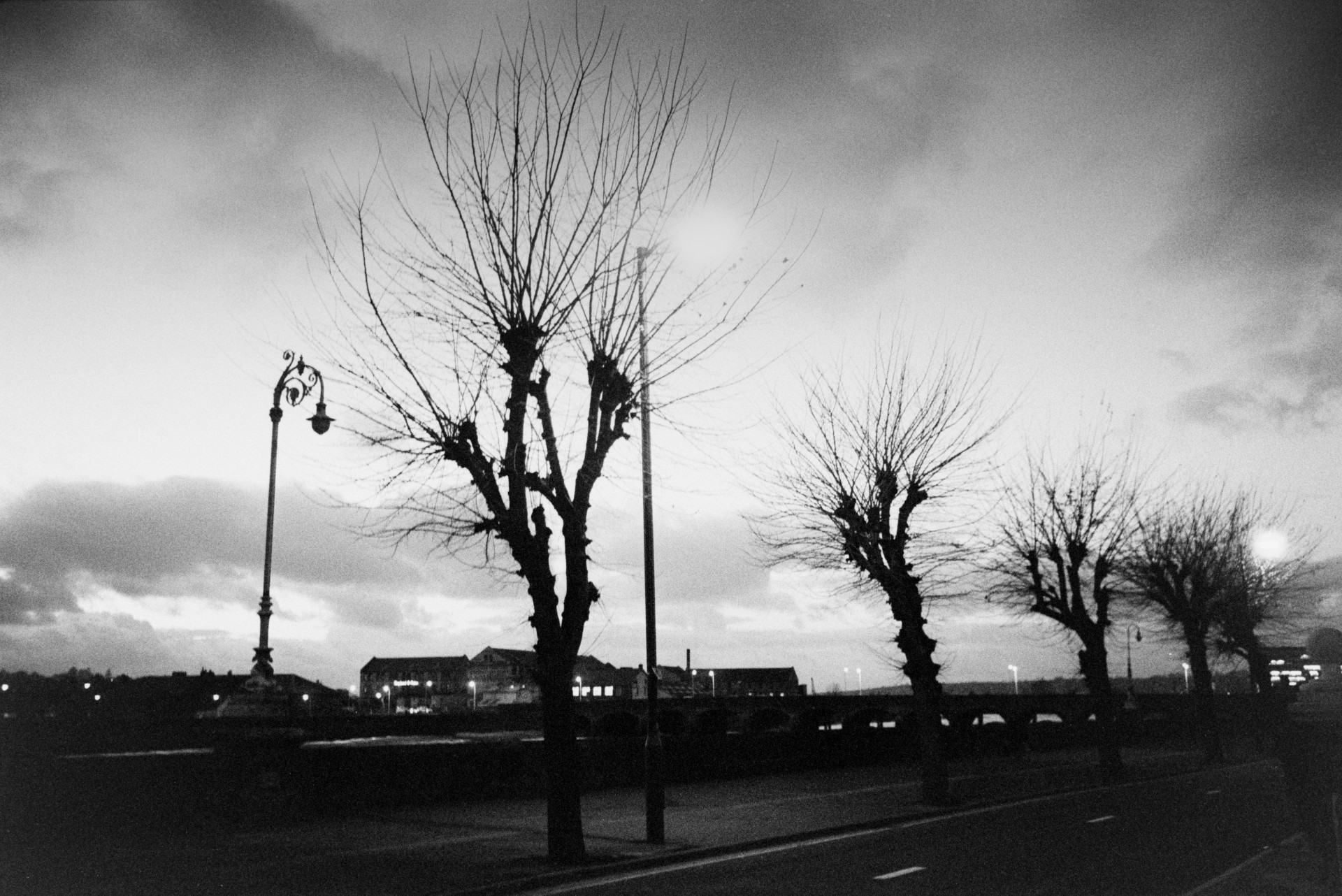 Trees and a lamppost silhouetted against a cloudy sky. Buildings can be seen in the background.