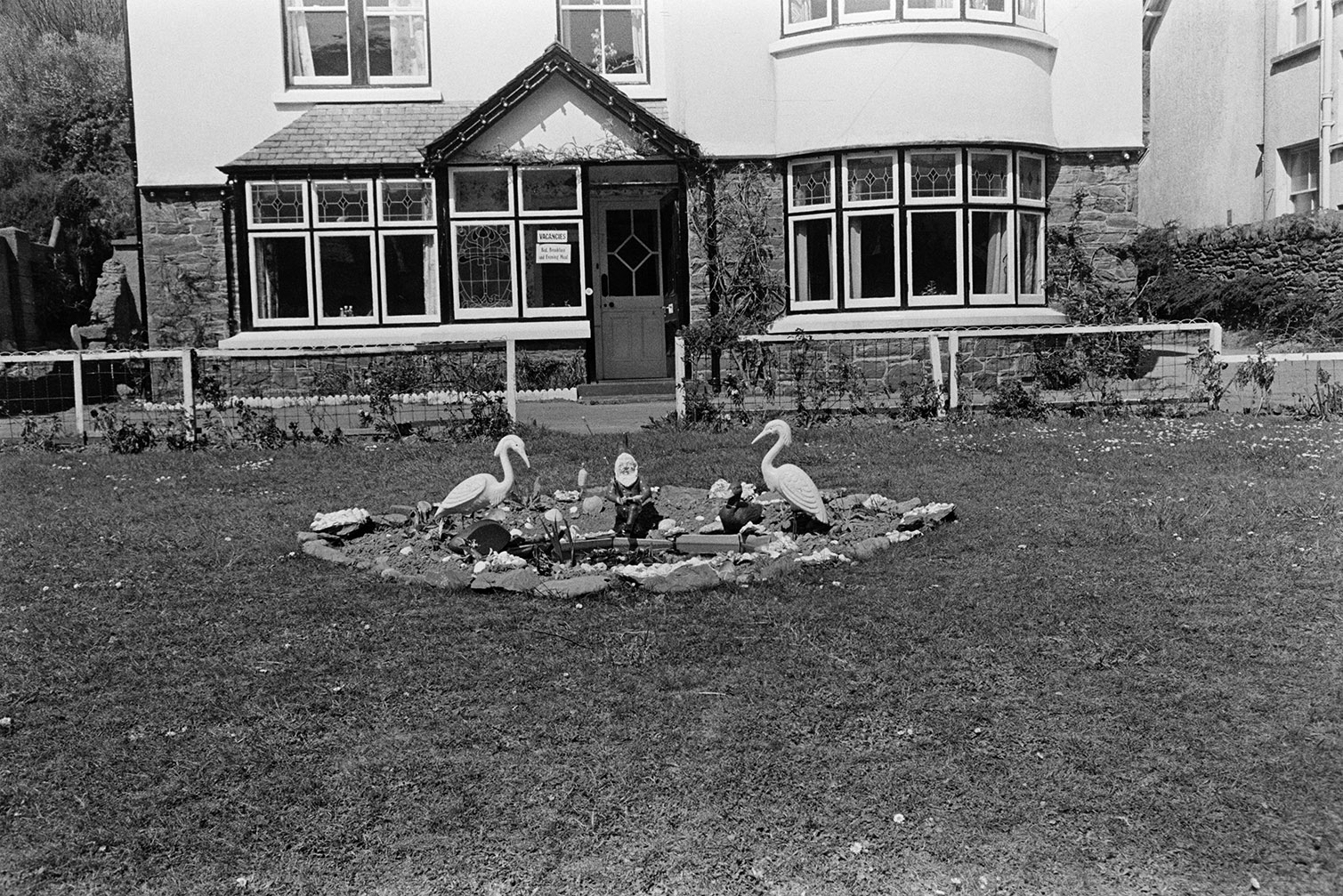 A B&B and garden with a pond in Lynton. The pond is surround by a gnome and two heron statues. A 'Vacancies' sign is visible in the window by the front door.
