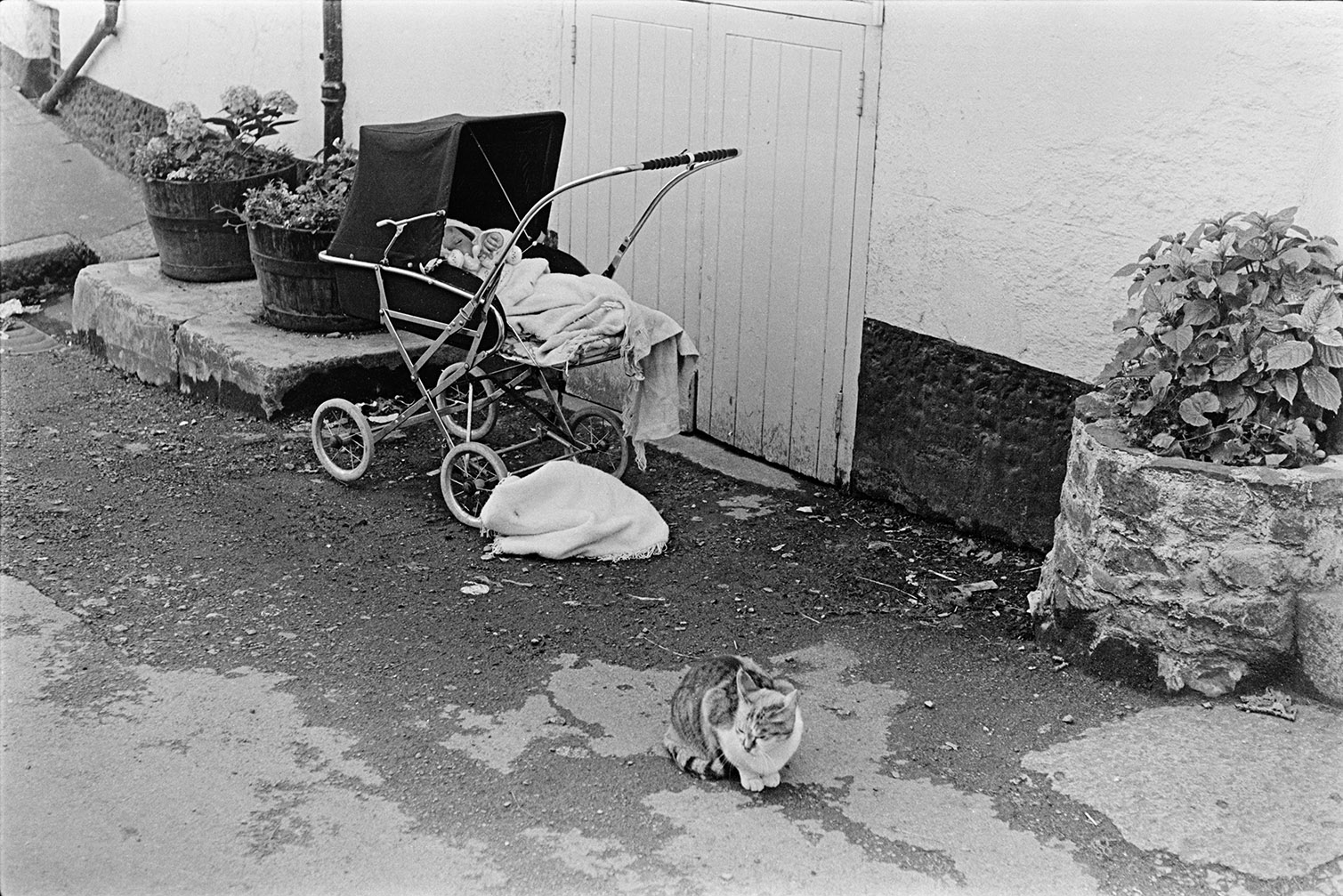 A baby sleeping in a pram and a cat sat nearby on the floor outside a house with flower pots, in Okehampton.