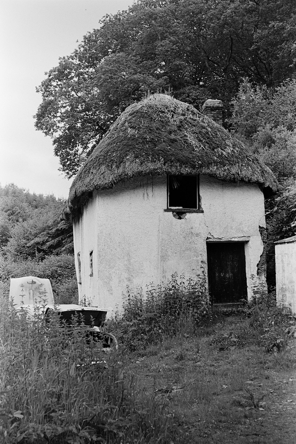 A derelict cob and thatch cottage surrounded by trees near Westleigh. An old car with its boot and bonnet open is parked in front of the cottage.