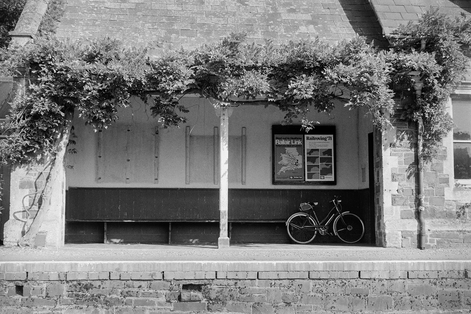 A shelter on the platform at Eggesford Railway Station. A bicycle and posters are inside the shelter which also has a vine growing up it.