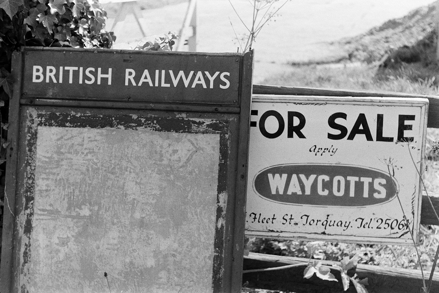 Railway notice board next to a 'for sale' sign on a wooden gate at Umberleigh Railway Station.