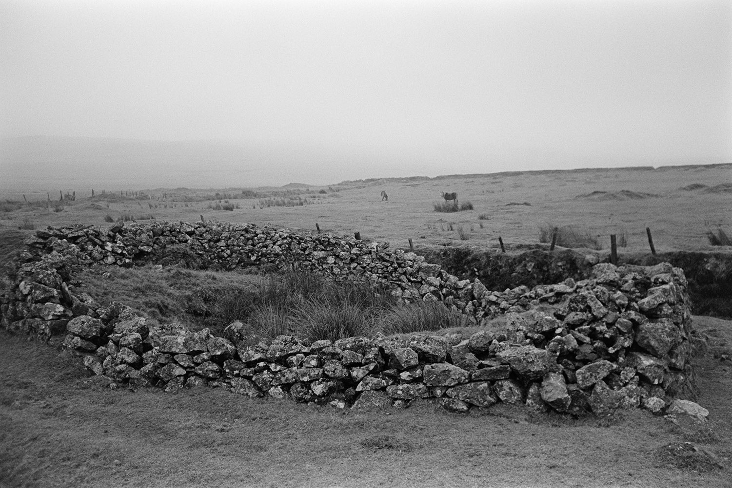 A moorland landscape with the ruins of a stone building in the foreground.