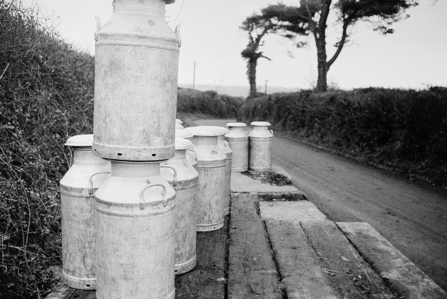 Milk churns stacked on a wooden milk churn stand by a road, at Dolton.