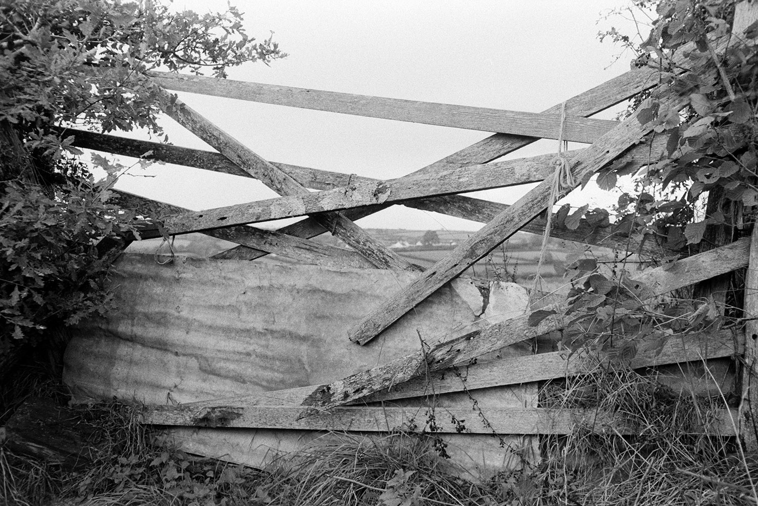A collapsing field gate which has been propped up with corrugated iron sheets, at the entrance to a field in Dolton.