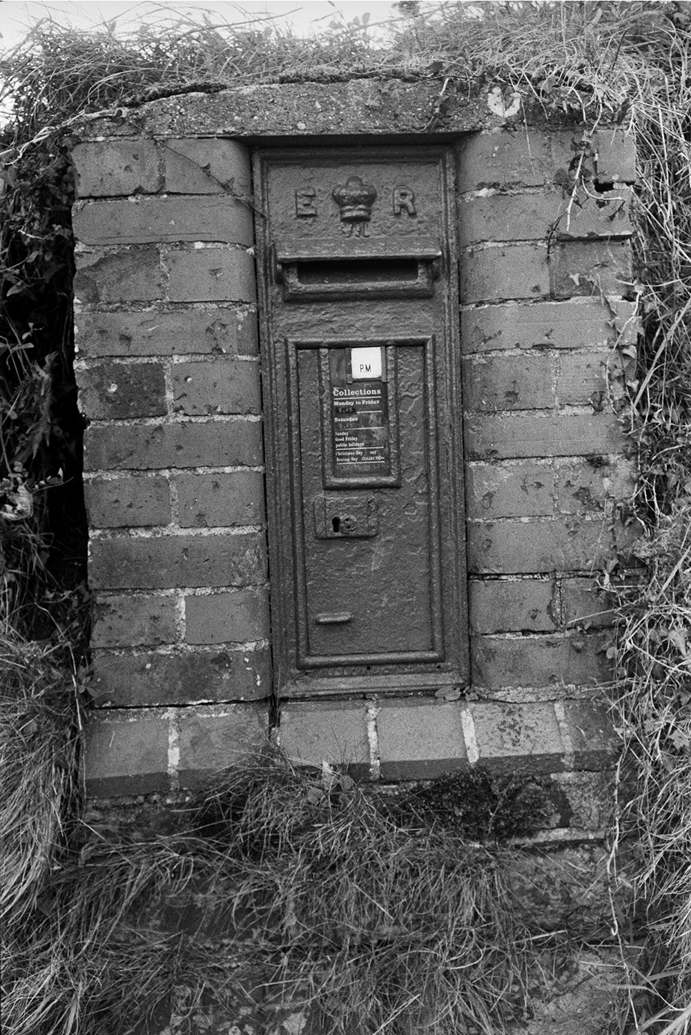 A post box in an overgrown stone wall at Beaford.