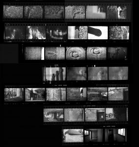 Contact Sheet 305 by Roger Deakins