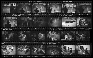 Contact Sheet 316 by Roger Deakins