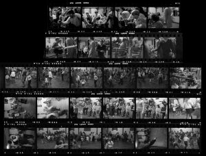 Contact Sheet 331 by Roger Deakins