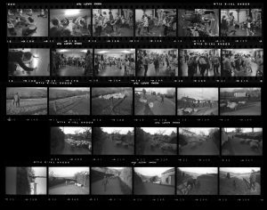 Contact Sheet 332 by Roger Deakins