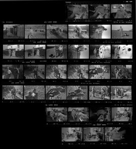 Contact Sheet 337 by Roger Deakins