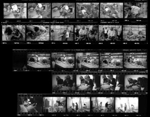 Contact Sheet 352 by Roger Deakins