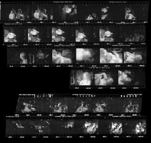 Contact Sheet 356 by Roger Deakins