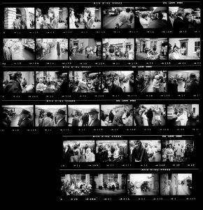 Contact Sheet 8 by