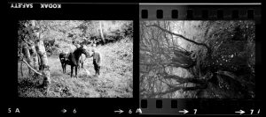 Contact Sheet 11 by