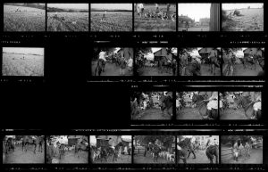 Contact Sheet 12 by