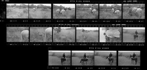 Contact Sheet 14 by
