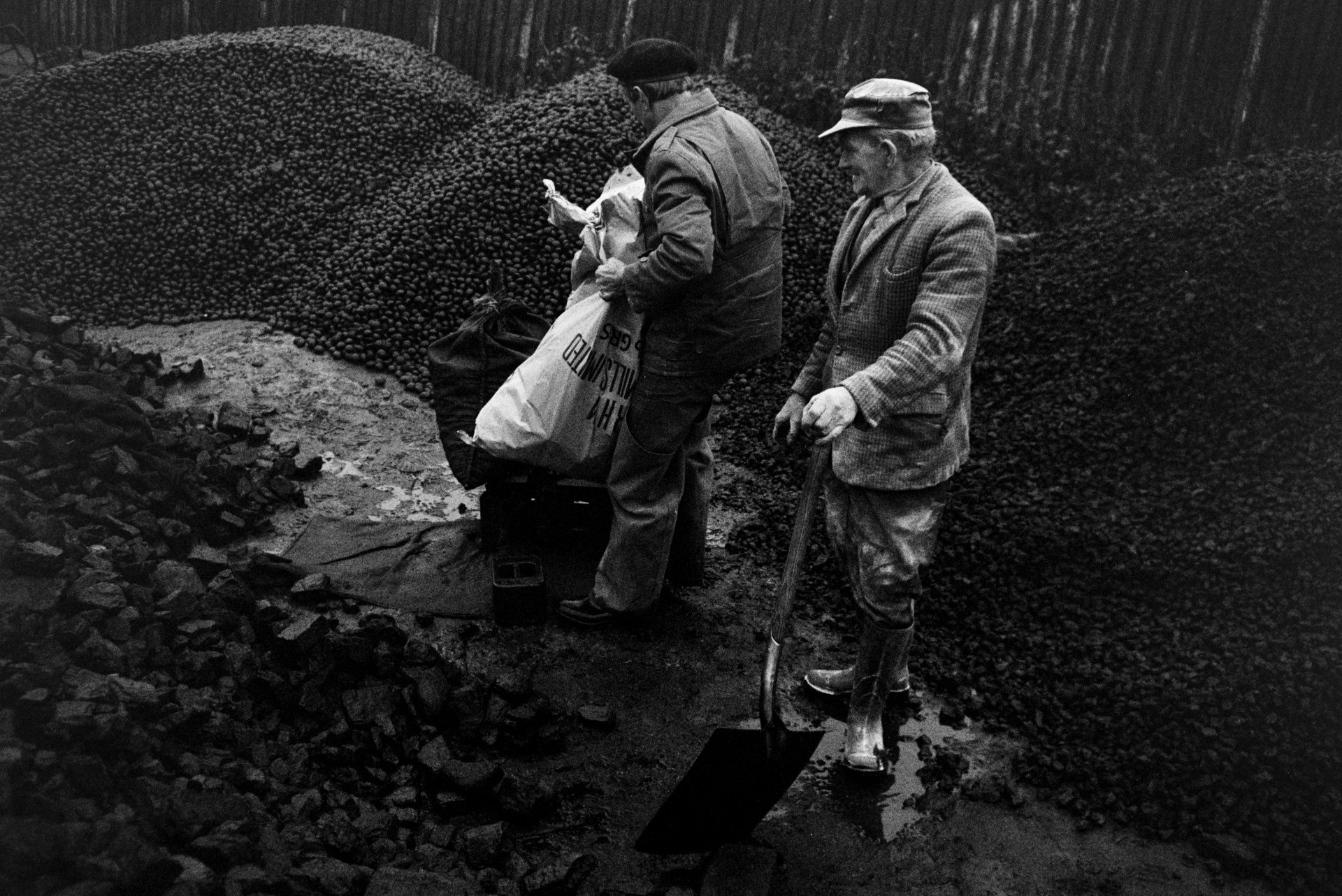 Ivor Bourne collecting coal from a coal merchant near Dolton Beacon. He is lifting a sack of coal. Another man is stood holding a shovel. Mounds of coal can be seen in the background.