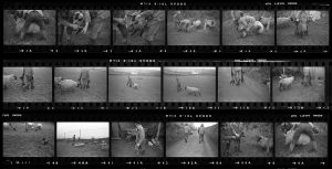 Contact Sheet 80 by