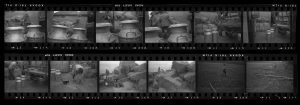 Contact Sheet 82 by