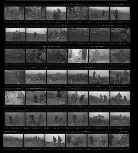 Contact Sheet 83 by