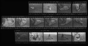 Contact Sheet 86 by