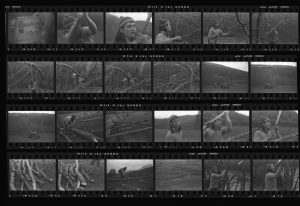 Contact Sheet 90 by