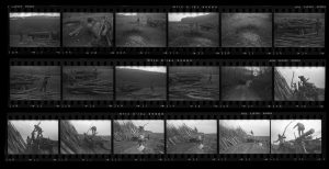 Contact Sheet 91 by