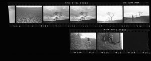Contact Sheet 94 by