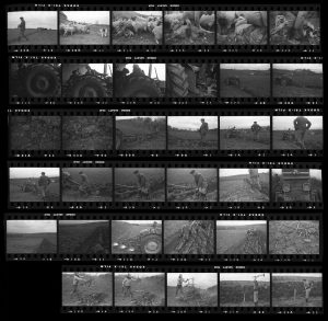 Contact Sheet 95 by