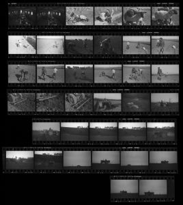 Contact Sheet 99 by