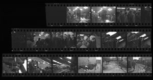 Contact Sheet 100 by