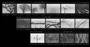 Contact Sheet 101 by