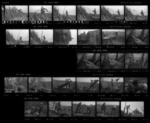 Contact Sheet 102 by