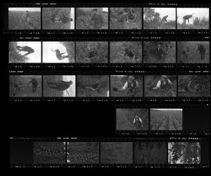 Contact Sheet 111 by