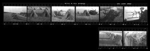 Contact Sheet 119 by